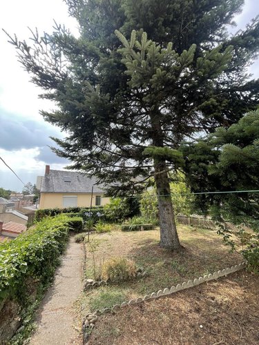 Maison a vendre Cholet 49300 Maine-et-Loire 37 m2 1 pièce 105000 euros