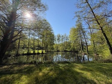 Divers a vendre Presles-et-Thierny 02860 Aisne 8685 m2  54800 euros