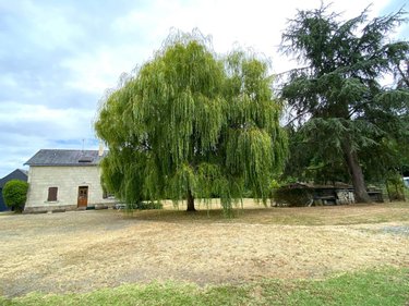 Location maison Écuillé 49460 Maine-et-Loire 98 m2 4 pièces 800 euros