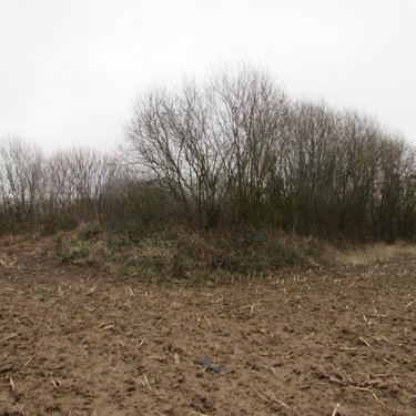Terrains de loisirs bois etangs a vendre Chérencé-le-Héron 50800 Manche 53930 m2  37520 euros