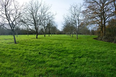 Terrains de loisirs bois etangs a vendre Grez-en-Bouère 53290 Mayenne 9026 m2  37450 euros