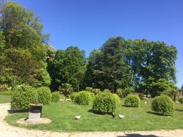 Maison a vendre Habarcq 62123 Pas-de-Calais 667 m2 16 pièces 1248000 euros