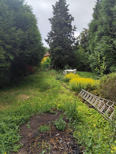 Maison a vendre Achicourt 62217 Pas-de-Calais 135 m2 4 pièces 242000 euros
