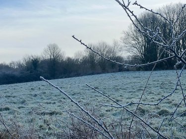 Terrains de loisirs bois etangs a vendre Vimoutiers 61120 Orne 29742 m2  36570 euros