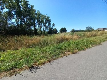 Terrain a batir a vendre Plouay 56240 Morbihan 3590 m2  319985 euros