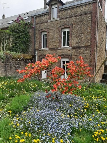 Maison a vendre La Ferté Macé 61600 Orne 130 m2 7 pièces 194000 euros