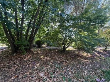 Maison a vendre Bouchemaine 49080 Maine-et-Loire 110 m2 4 pièces 524000 euros