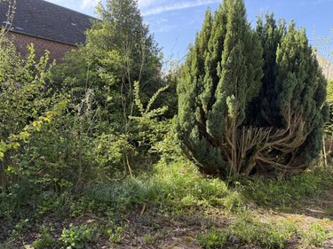Maison a vendre Élincourt 59127 Nord 115 m2 5 pièces 69800 euros