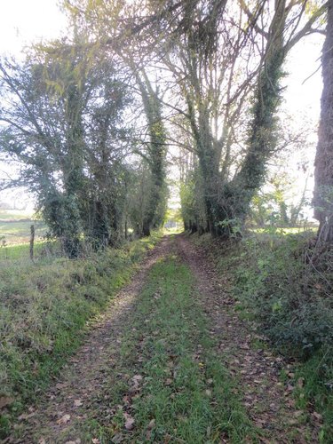 Maison a vendre Vire-Normandie 14500 Calvados 300 m2 3 pièces 189900 euros