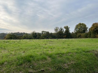 Terrain a batir a vendre Saint-Éloi 01800 Ain 12310 m2  525000 euros