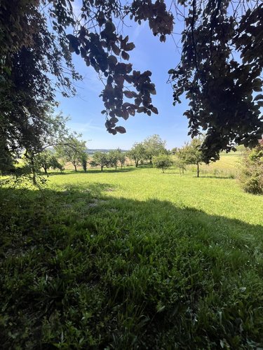Maison a vendre Crissay-sur-Manse 37220 Indre-et-Loire 80 m2 4 pièces 127200 euros