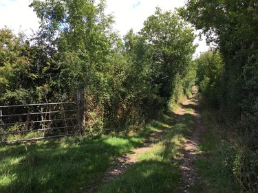 Terrains de loisirs bois etangs a vendre Chevillé 72350 Sarthe 56080 m2  31030 euros