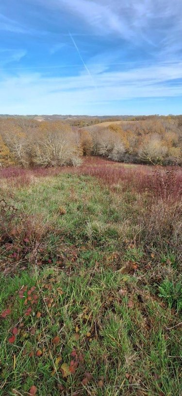Terrains de loisirs bois etangs a vendre Peyrusse-Grande 32320 Gers 57740 m2  39500 euros