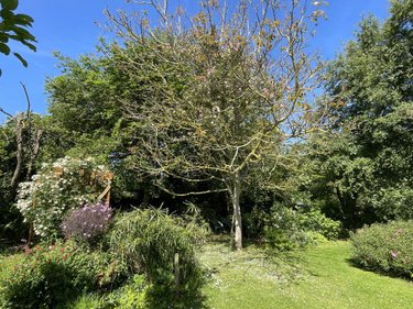 Maison a vendre Lanmodez 22610 Côtes-d'Armor 139 m2 6 pièces 581400 euros