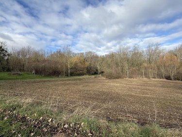 Terrain a batir a vendre Rosnay 51390 Marne 1008 m2  155000 euros