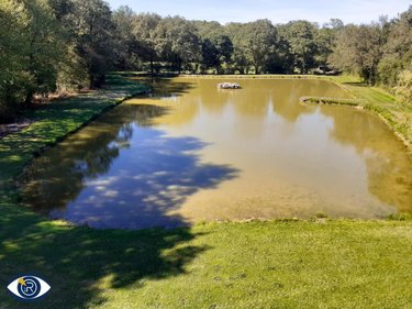 Terrains de loisirs bois etangs a vendre Mézangers 53600 Mayenne 9160 m2  63000 euros