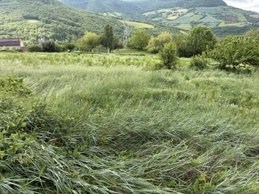 Maison a vendre Saint-Victor-et-Melvieu 12400 Aveyron 361 m2 10 pièces 120000 euros
