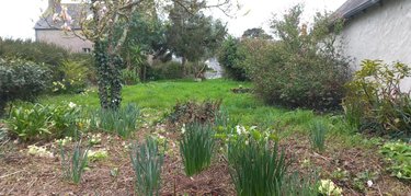 Maison a vendre Ploubazlanec 22620 Côtes-d'Armor 117 m2 6 pièces 229500 euros