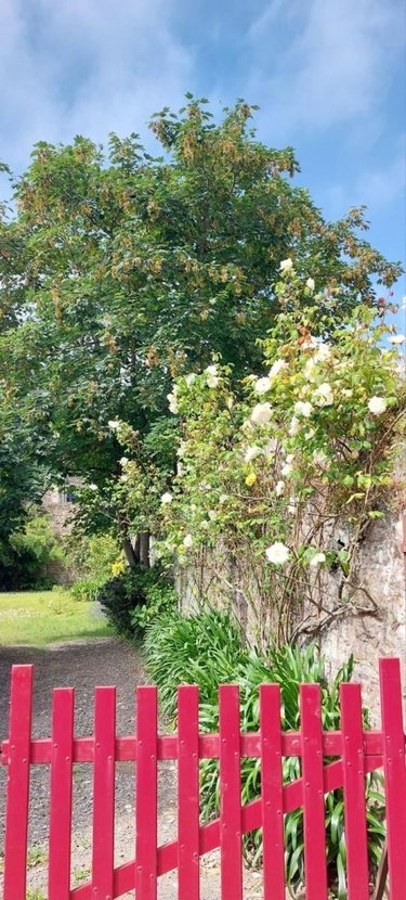 Maison a vendre Tréguier 22220 Côtes-d'Armor 222 m2 9 pièces 399000 euros