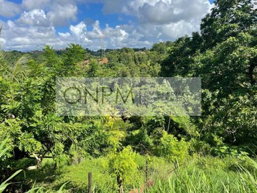 Terrain a batir a vendre Ducos 97224 Martinique 1405 m2  170000 euros