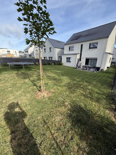 Location maison Saint-Armel 35230 Ille-et-Vilaine 115 m2  1240 euros