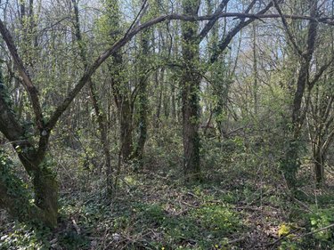 Divers a vendre Saint-Georges-de-Pointindoux 85150 Vendée 50 m2  115300 euros