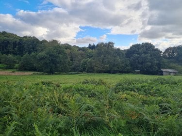 Terrains de loisirs bois etangs a vendre Pleugriffet 56120 Morbihan 28767 m2  11605 euros