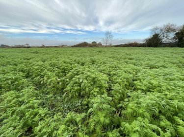 Maison a vendre Plouézec 22470 Côtes-d'Armor 129 m2 4 pièces 148500 euros