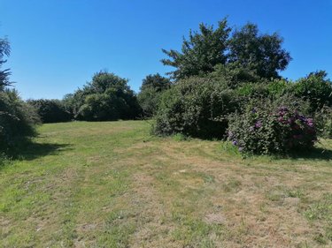 Maison a vendre Plougoulm 29250 Finistère 80 m2 3 pièces 177140 euros