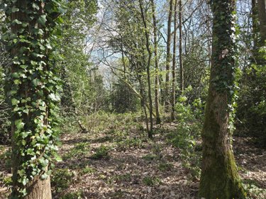 Maison a vendre Château-Gontier-sur-Mayenne 53200 Mayenne 193 m2 8 pièces 445900 euros