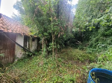 Maison a vendre Bergueneuse 62134 Pas-de-Calais 100 m2 3 pièces 58480 euros