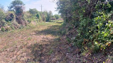 Terrain a batir a vendre Vicq-sur-Mer 50330 Manche 865 m2  69680 euros