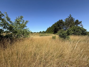 Terrain a batir a vendre Coullemelle 80250 Somme 1329 m2  38000 euros