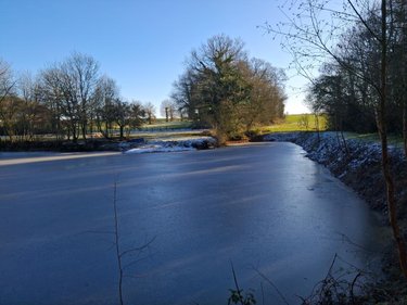 Terrains de loisirs bois etangs a vendre Plumaudan 22350 Côtes-d'Armor 5908 m2  39700 euros