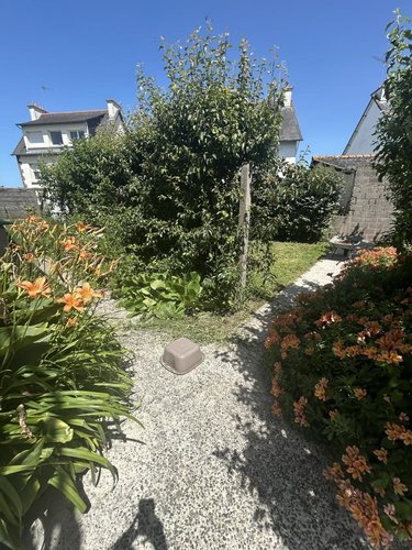 Maison a vendre Yffiniac 22120 Côtes-d'Armor 54 m2 4 pièces 164300 euros