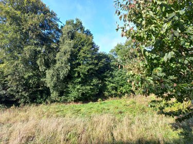 Maison a vendre Le Gouray 22330 Côtes-d'Armor 120 m2 4 pièces 212000 euros