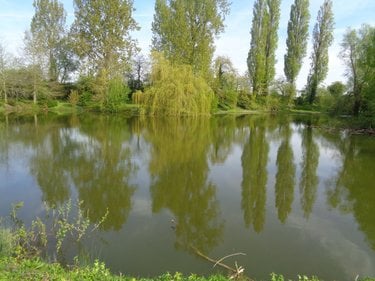 Terrains de loisirs bois etangs a vendre Annezin 62232 Pas-de-Calais 7918 m2  136500 euros