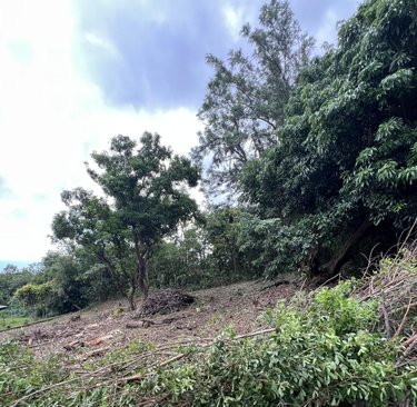 Terrain a batir a vendre Saint-Leu 97436 Réunion 734 m2  213000 euros