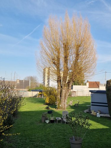 Maison a vendre Sainte-Catherine 62223 Pas-de-Calais 165 m2 5 pièces 325000 euros