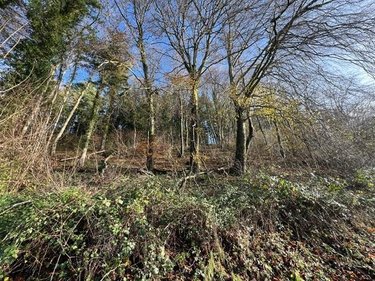 Terrains de loisirs bois etangs a vendre La Vespière Friardel 14290 Calvados 8471 m2  9971 euros