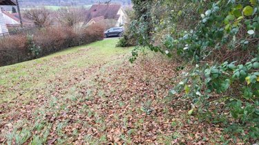 Terrain a batir a vendre Bart 25420 Doubs 3700 m2  99000 euros