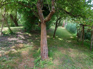 Terrains de loisirs bois etangs a vendre Parçay-sur-Vienne 37220 Indre-et-Loire 7760 m2  23600 euros