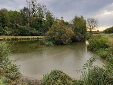 Divers a vendre Muret-et-Crouttes 02210 Aisne 8000 m2  69600 euros