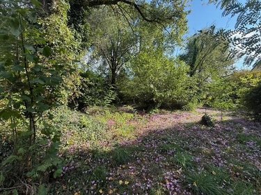 Terrain a batir a vendre Bouchemaine 49080 Maine-et-Loire 9707 m2  943200 euros