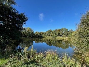 Terrains de loisirs bois etangs a vendre Saint-Christophe-du-Luat 53150 Mayenne 17420 m2  84320 euros