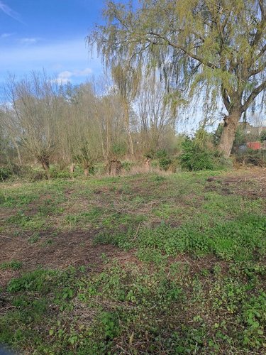 Terrain a batir a vendre Fréthun 62185 Pas-de-Calais 613 m2  96480 euros