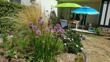 Appartement a vendre Cabourg 14390 Calvados 58 m2 3 pièces 392000 euros