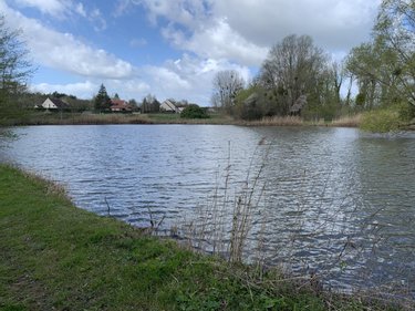 Terrains de loisirs bois etangs a vendre Breuil sur Vesle 51140 Marne 18367 m2  117000 euros