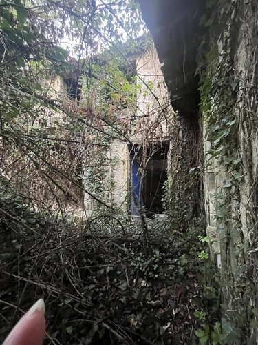 Maison a vendre Brizay 37220 Indre-et-Loire 200 m2  63600 euros