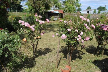 Maison a vendre La Bigottière 53240 Mayenne 107 m2 4 pièces 74000 euros